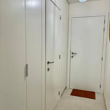 Roulis 0602 De Panne